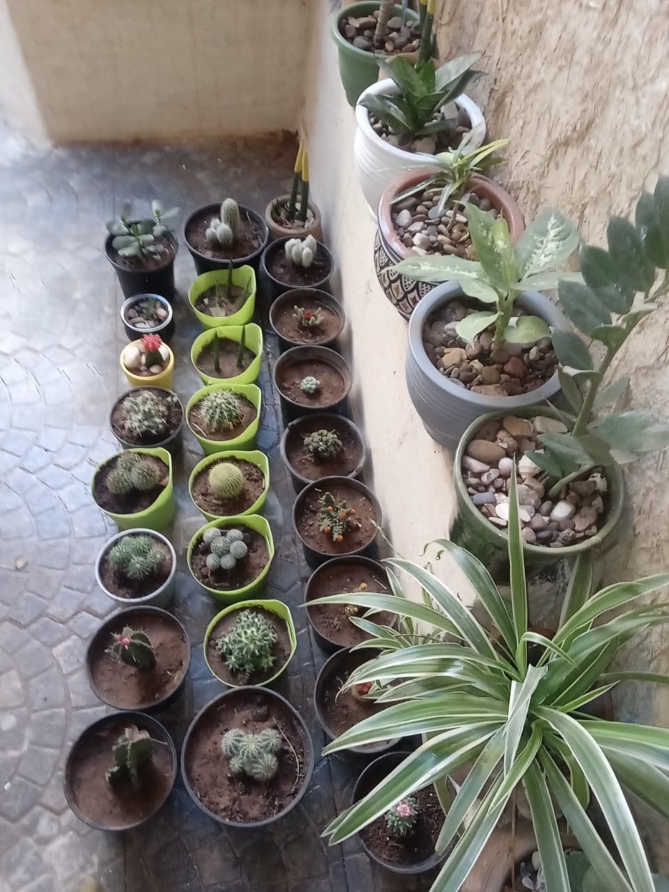 Riad Targante Takate 1 et 2 — 3