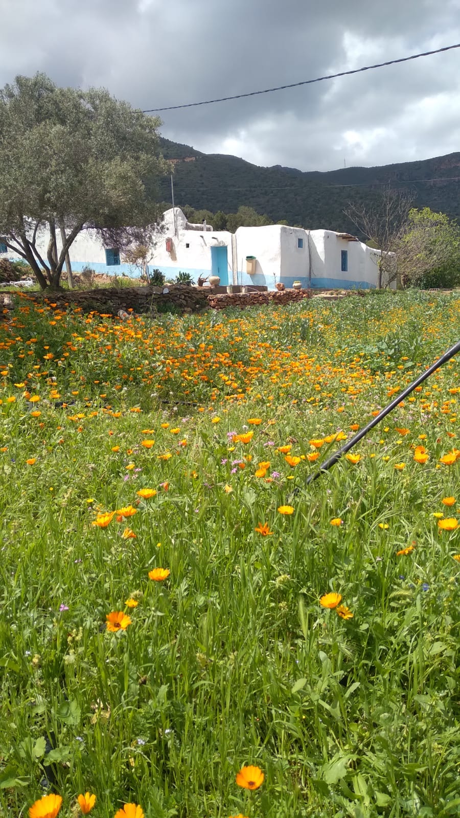 Écotourisme Rural_Gîte Tagma — 4