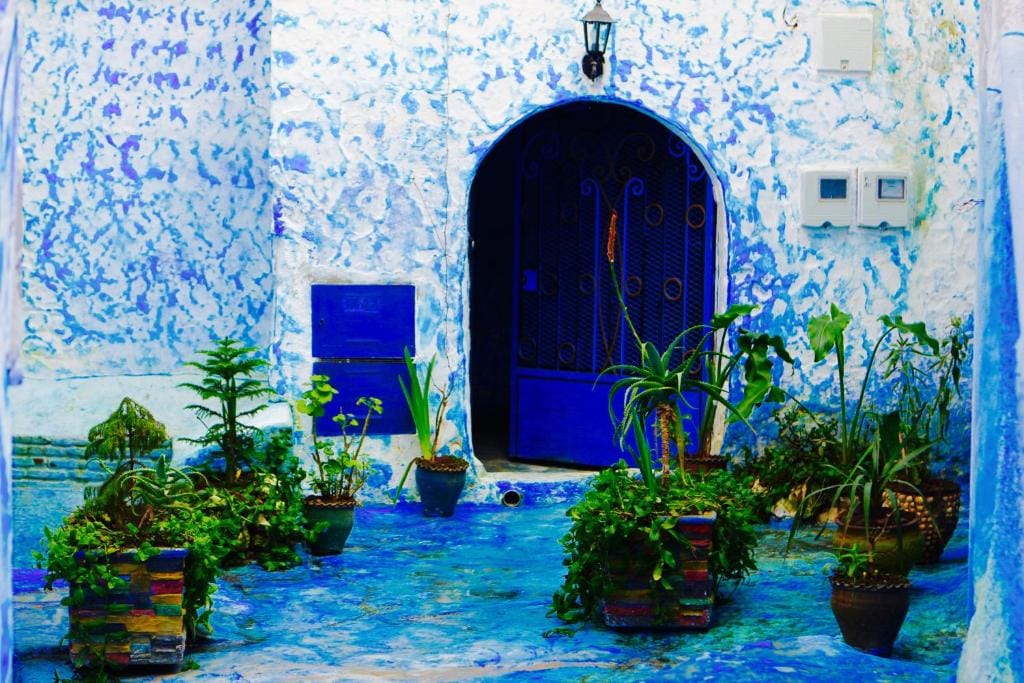 casa malek — 1