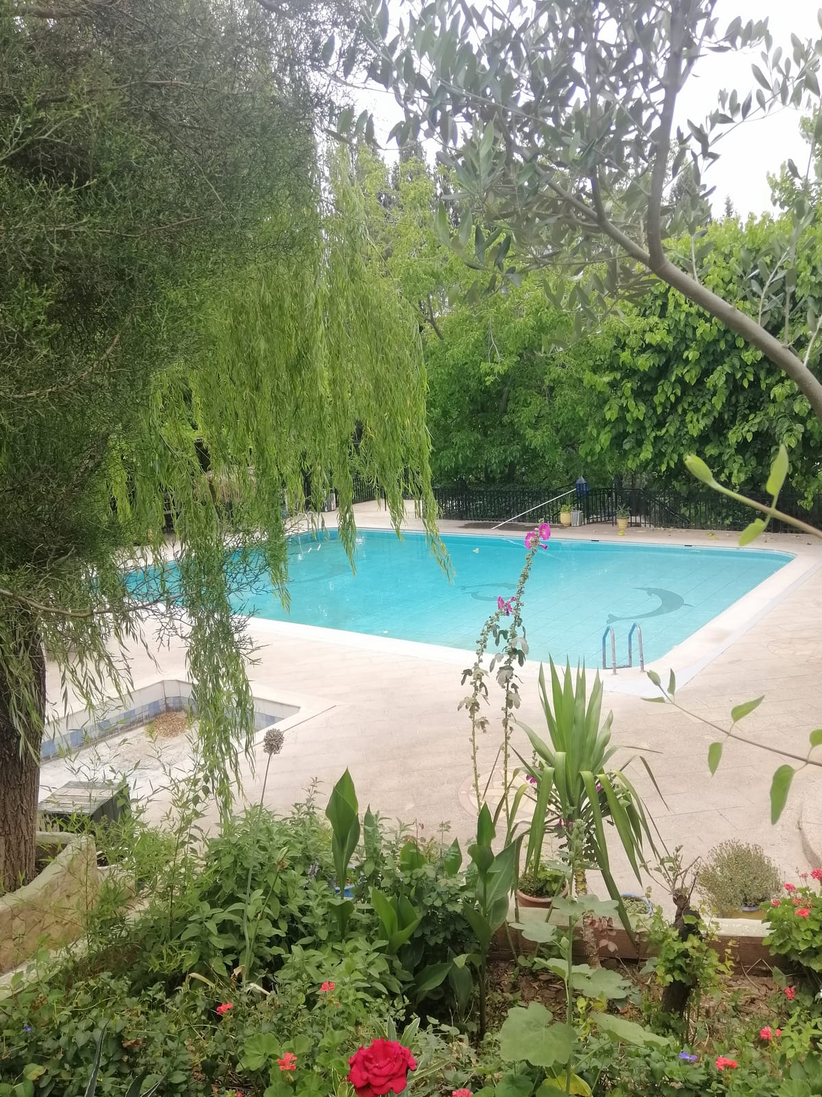 Auberge Arougou
