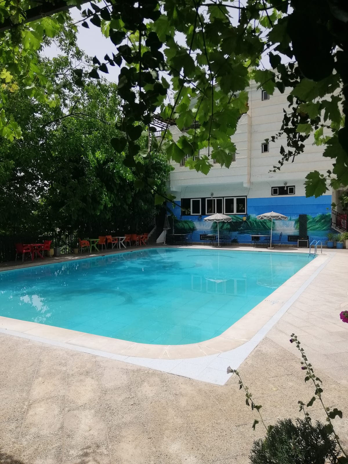 Auberge Arougou — 4