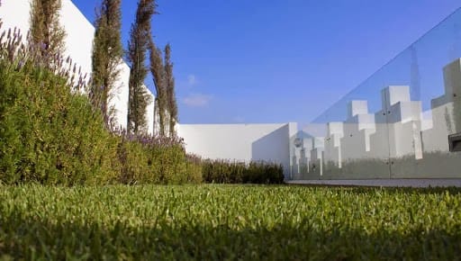 Riad Zyo — 5